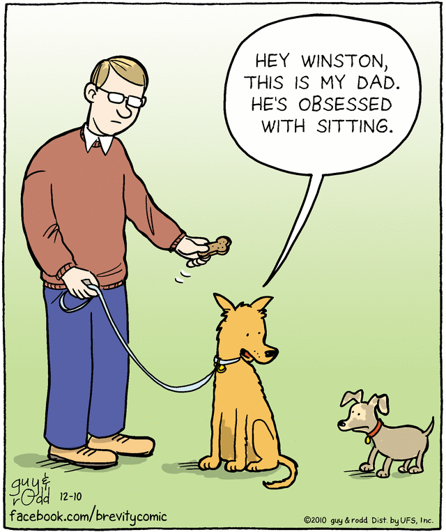 brevity
